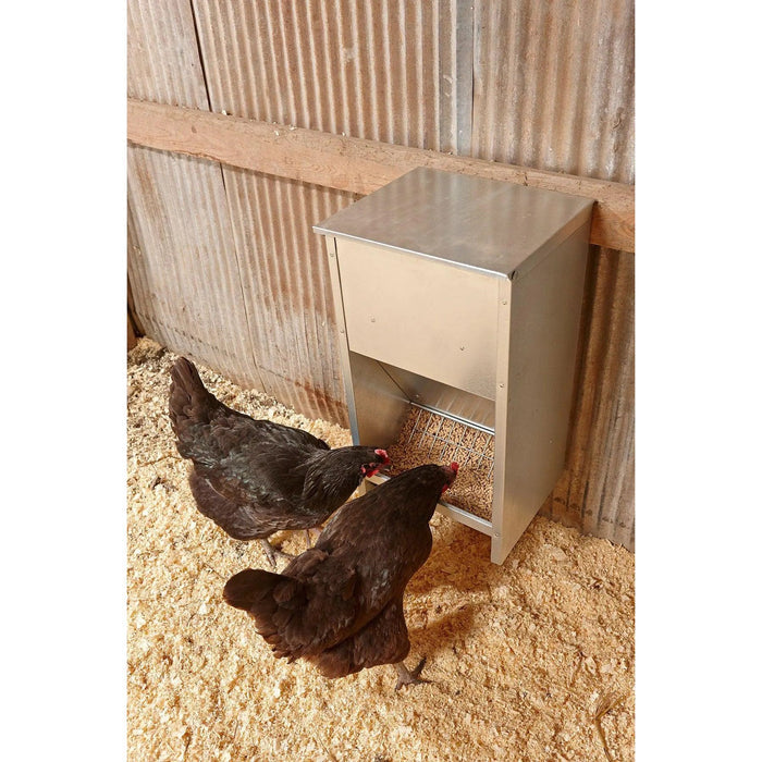 Little Giant Steel Galvanized High Capacity Poultry Feeder Up To 25lbs Little Giant