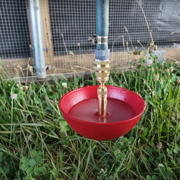 Little Giant King Size Automatic Poultry Waterer 1.5 Quart for Turkey Game Birds 2-Pack