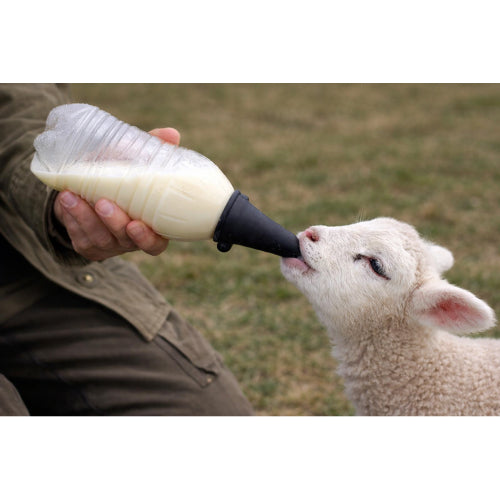 Little Giant Lamb Nursing Bottle Screw-On Nipples Feeding Solution for Lambs 12-Pack