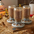Little Giant Mason Jar Baby Chick Feeder 1 Quart Poultry Galvanized Steel Base 3PCK