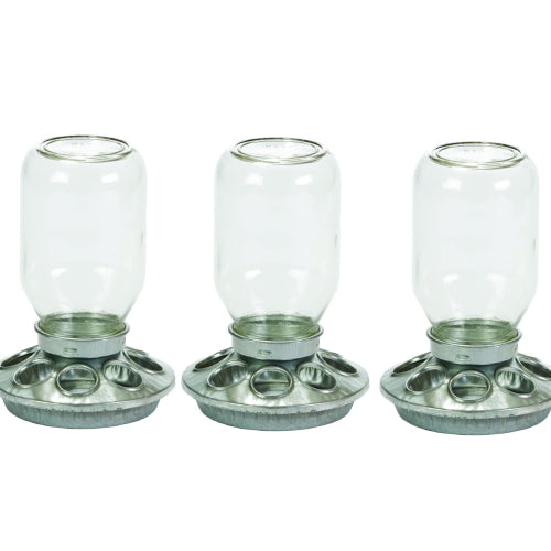 Little Giant Mason Jar Baby Chick Feeder 1 Quart Poultry Galvanized Steel Base 3PCK
