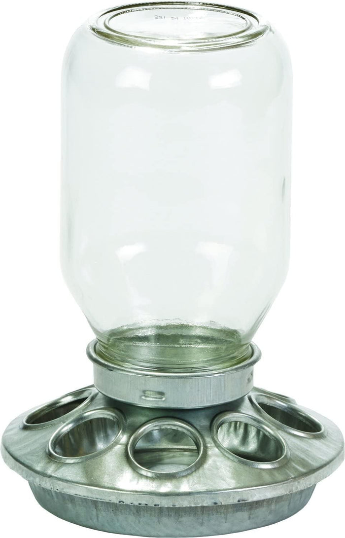 Little Giant Mason Jar Baby Chick Feeder 1 Quart Poultry Galvanized Steel Base 3PCK