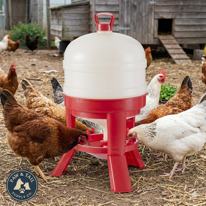 Little Giant Plastic Poultry Dome Waterer 8 Gallon Top Fill Chicken Waterer 2PCK