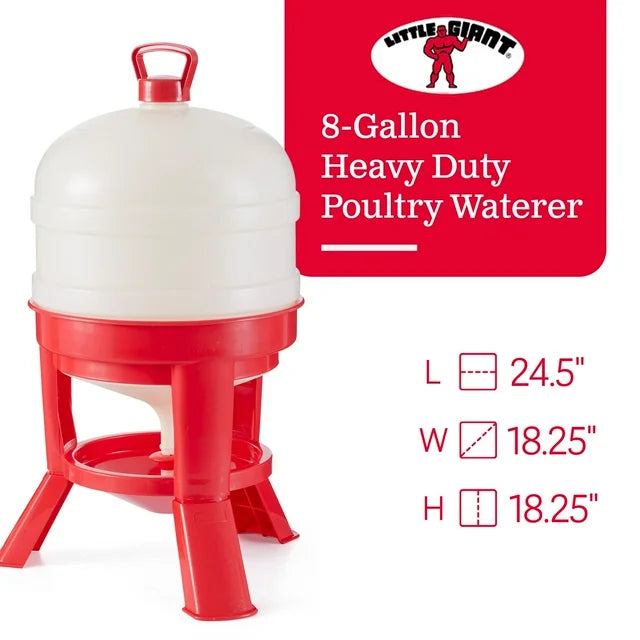 Little Giant Plastic Poultry Dome Waterer 8 Gallon Top Fill Chicken Waterer 2PCK