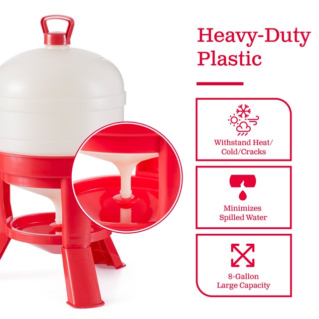 Little Giant Plastic Poultry Dome Waterer 8 Gallon Top Fill Chicken Waterer 2PCK