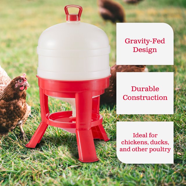 Little Giant Plastic Poultry Dome Waterer 8 Gallon Top Fill Chicken Waterer 2PCK