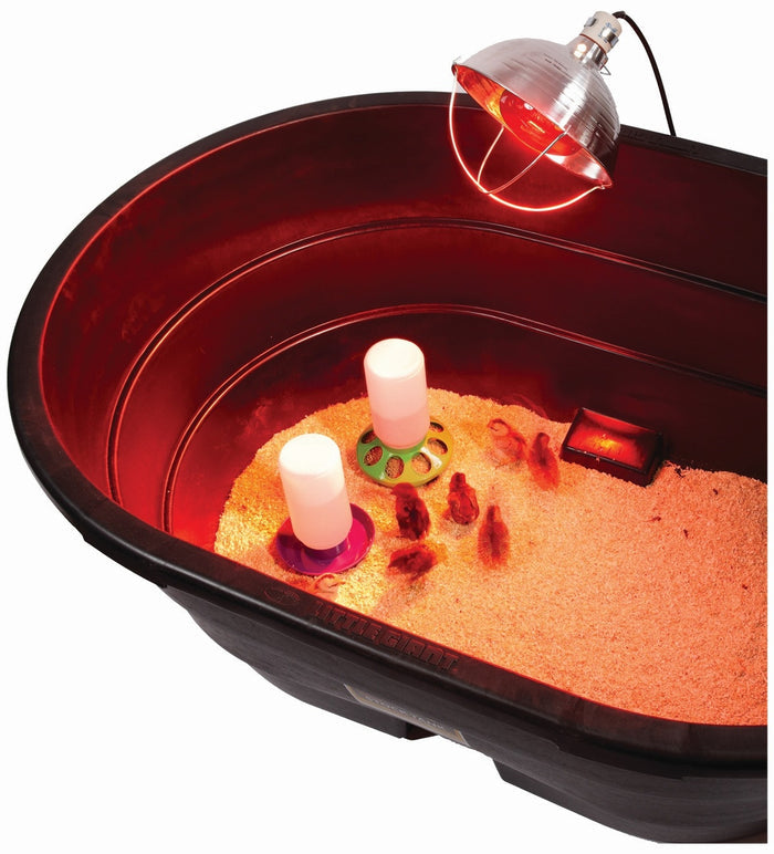Little Giant Reflector Clamp Heat Lamp 10.5" Chicks Poultry Brooder Fixture 250W 2PCK