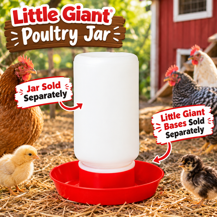 Little Giant Screw-On Poultry Jar Heavy Duty Translucent Plastic Container 1 Quart 3-Pack