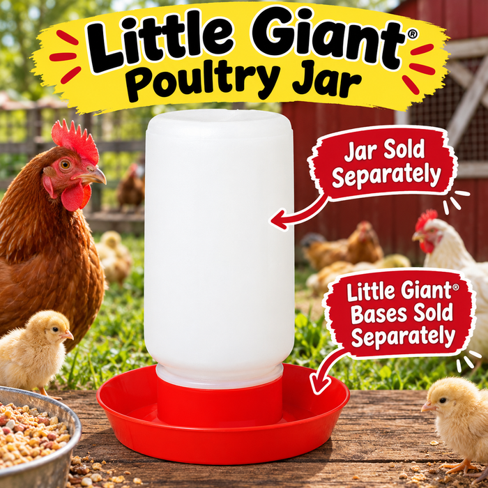 Little Giant Screw-On Poultry Jar Heavy Duty Translucent Plastic Container 1 Quart 3-Pack