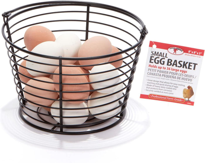Little Giant Small Egg Basket Holds 3 Dozen Eggs Wire Coated Steel Basket 2-Pack