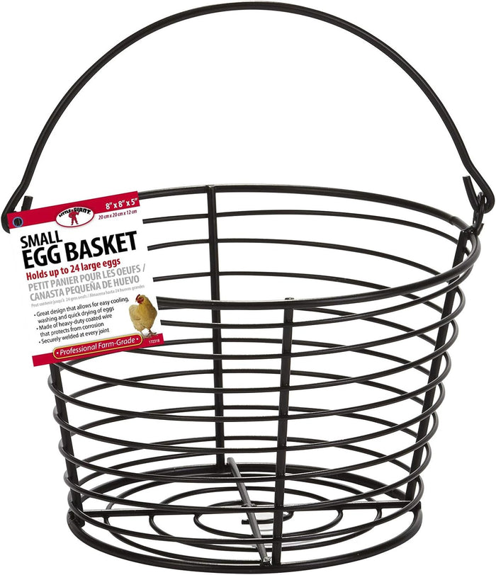 Little Giant Small Egg Basket Holds 3 Dozen Eggs Wire Coated Steel Basket 2-Pack