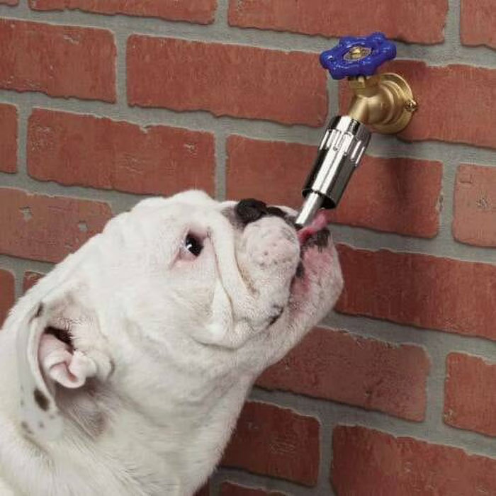 Lixit Faucet Waterer Automatic Dog Water Dispenser Fits Hose & Faucet 2-Pack