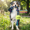 Mammoth Flossy Chews 3 Knot Tug Dog Rope Toy With Tennis Ball 20"