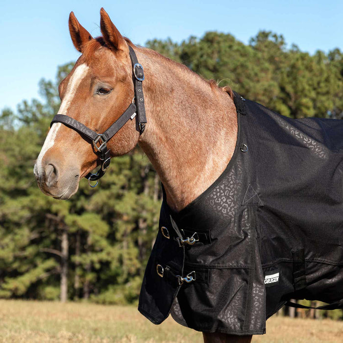 Matching Horse Halter & Lead Rope 2 Piece Set, Full Size
