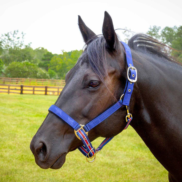 Matching Horse Halter & Lead Rope 2 Piece Set, Full Size