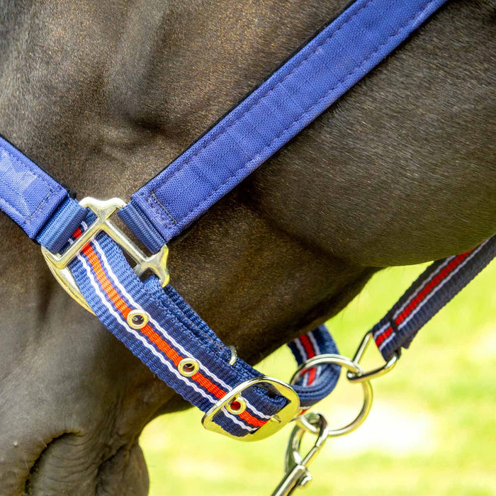 Matching Horse Halter & Lead Rope 2 Piece Set, Full Size