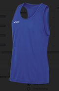 Asics Men's Rival Singlet