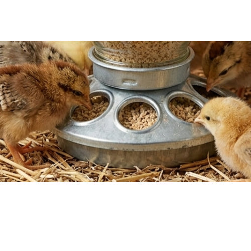Miller Jar Galvanized Feeder Base for Chick Baby Fits 1 Quart Jar 3-Pack