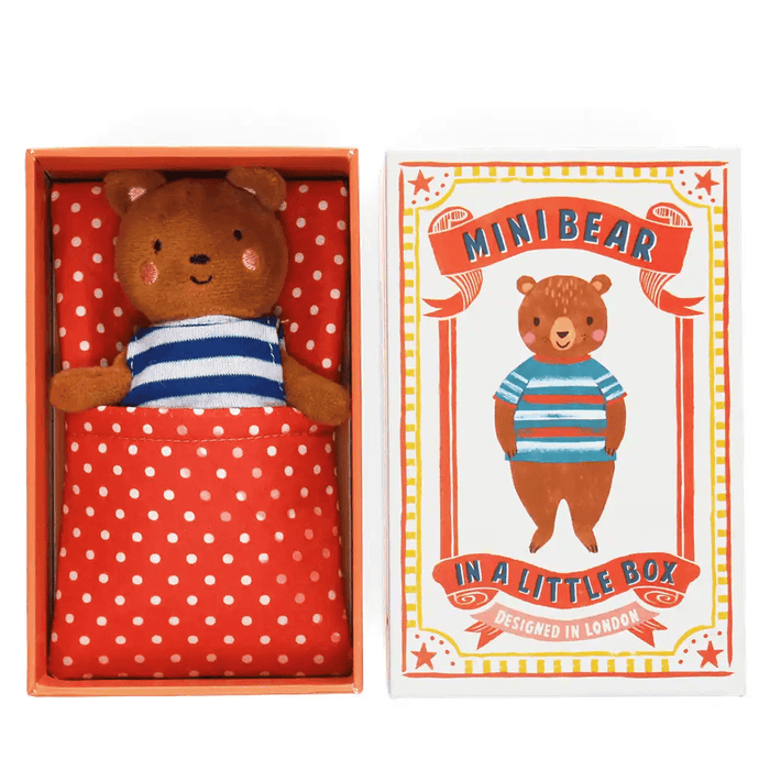 Mini Bear in Matchbox