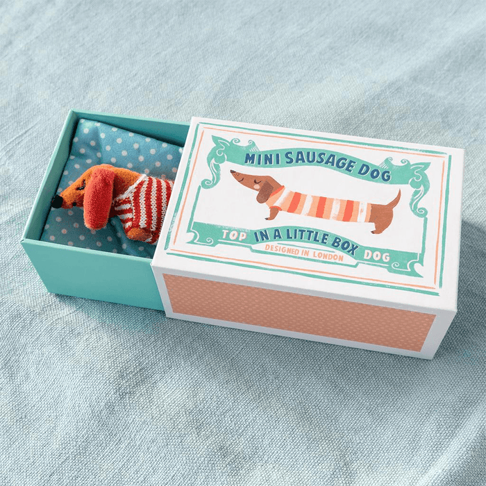 Mini Sausage Dog in Little Matchbox: NEW ARRIVAL - Ruby & Grace