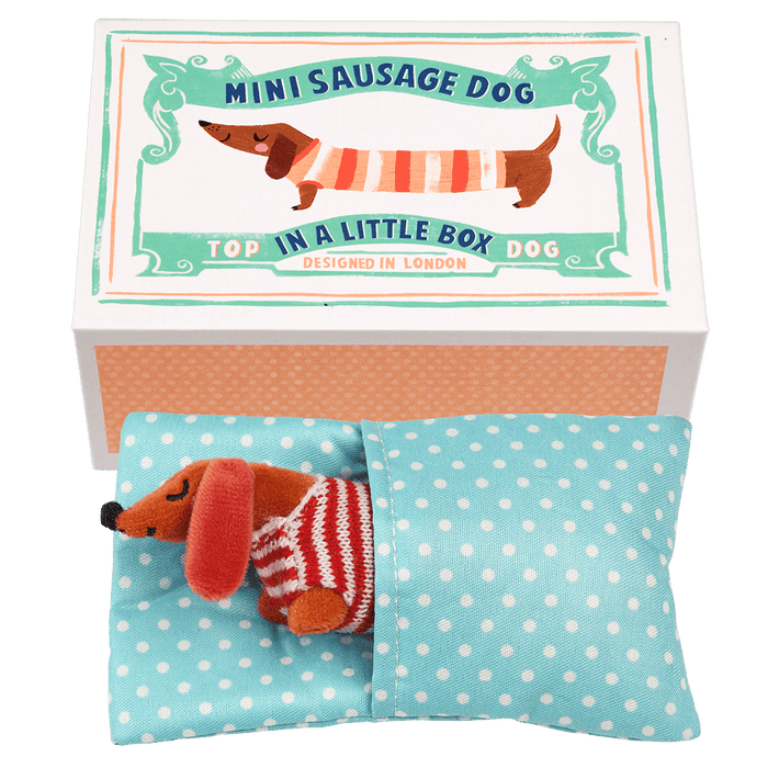 Mini Sausage Dog in Little Matchbox: NEW ARRIVAL - Ruby & Grace