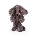 Moulin Roty Dumpster Dog Plush Mini – École des Loisirs Collection 🐾NEW ARRIVAL