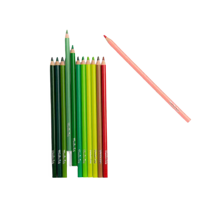 Moulin Roty Nature-Themed Colouring Set – Le Jardin du Moulin Collection 🌿🎨NEW ARRIVAL