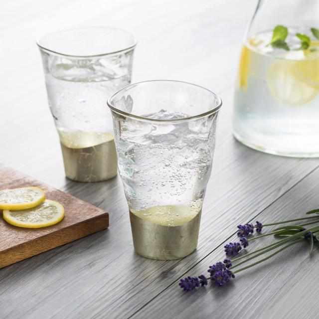 [MUG (CUP)] PENETRATION BITE GLASS CHAMPAGNE GOLD (2 PIECES) | HAKUICHI | KANAZAWA GOLD LEAF