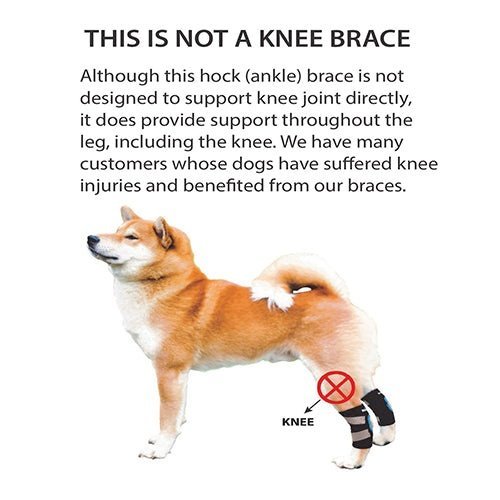 NeoAlly Dog Rear Leg Hock Brace with Safety Reflective Straps for Small Dogs [Short Version]