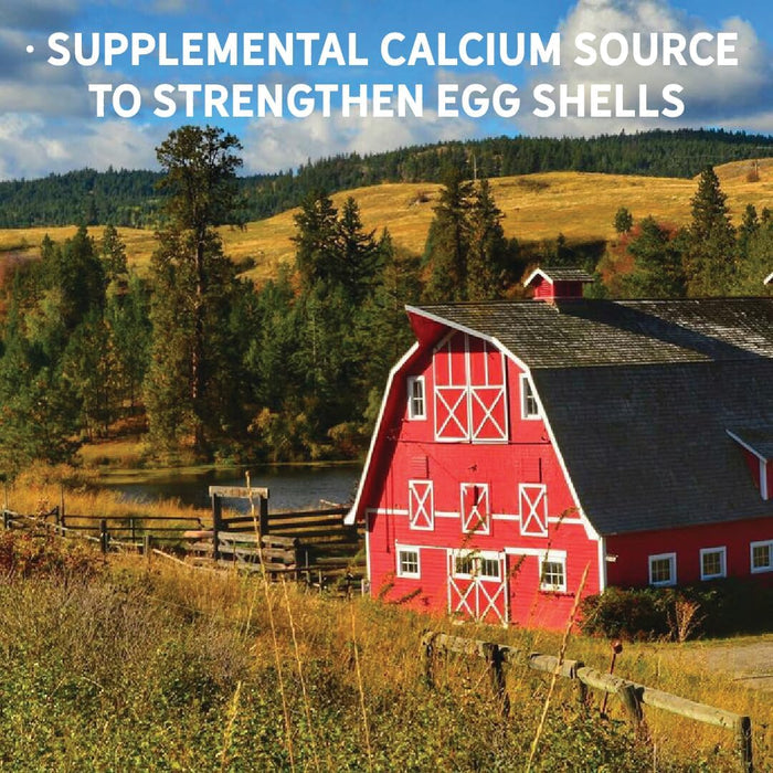 New Country Organics Flock Perfect Calcium Poultry Shell 8lbs.