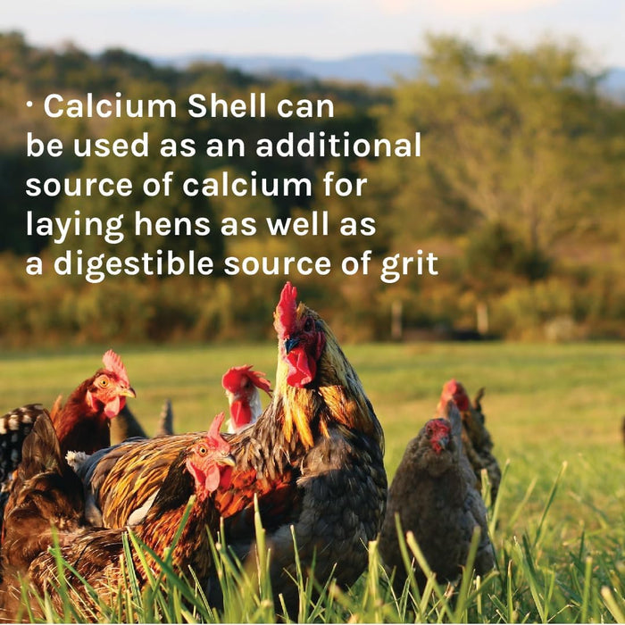 New Country Organics Flock Perfect Calcium Poultry Shell 8lbs.