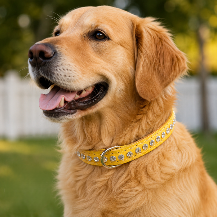 OmniPet Leather Crystal Dog Collar Rhinestone USA Made Yellow 14" 2-Pack