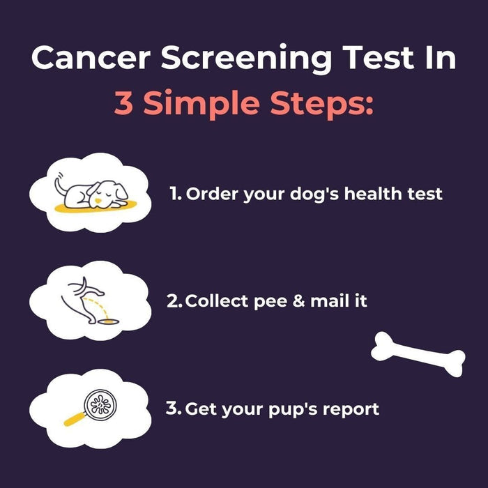 Oncotect Essential At-Home Dog Cancer Screening Test Kit