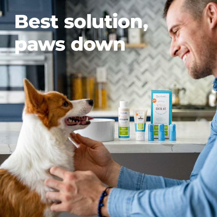 Oxyfresh Pet Dental Kit Dogs & Cats Small Toothpaste Water Additive & Brushes Bundle