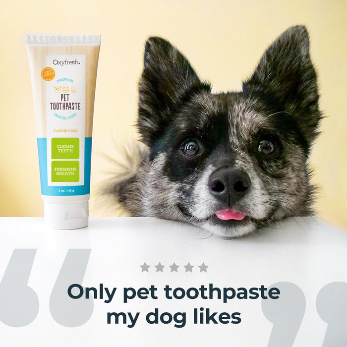 Oxyfresh Pet Toothpaste for Dogs & Cats Dental Care Fresh Breath Plaque 4 oz.