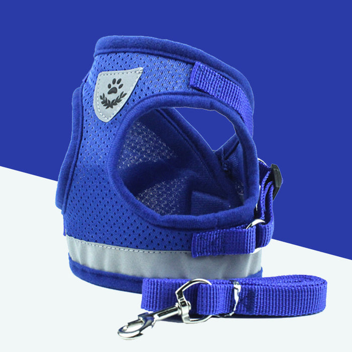 Blue / L