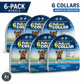 PetLock Flea & Tick Collar Small Dogs 6 Months Protection 6-Pack