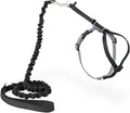 PetSafe Come With Me Kitty Cat Harness & Bungee Leash Large Black