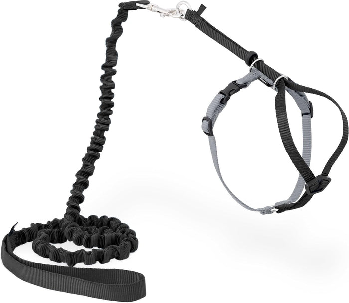 PetSafe Come With Me Kitty Cat Harness & Bungee Leash Large Black
