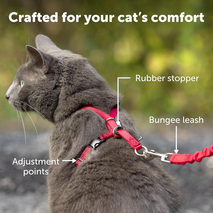 PetSafe Come With Me Kitty Cat Harness & Bungee Leash Large Black