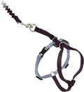 PetSafe Come With Me Kitty Cat Harness & Bungee Leash Small Black