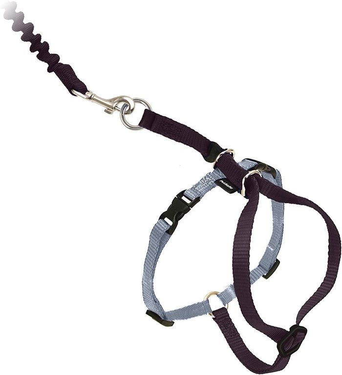 PetSafe Come With Me Kitty Cat Harness & Bungee Leash Small Black