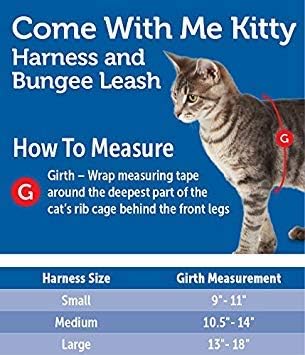 PetSafe Come With Me Kitty Cat Harness & Bungee Leash Small Black