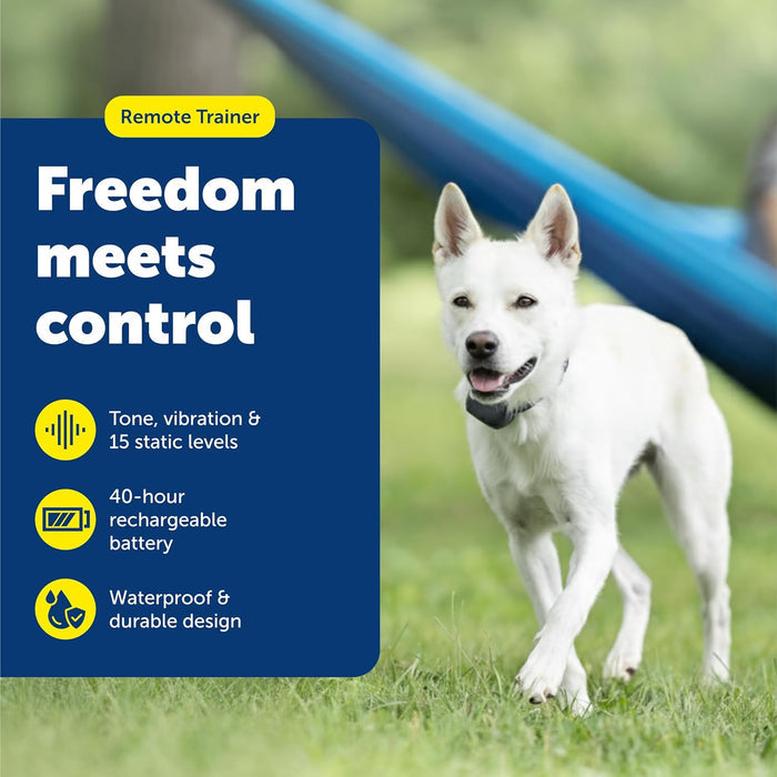 PetSafe Lite Remote Dog Trainer Behavior Training for Small Dogs 300 Yard Range