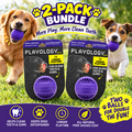 Playology Dental Chew Ball Toy for Senior Dogs Medium Pork Sausage 2-Pack