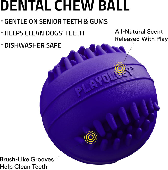 Playology Dental Chew Ball Toy for Senior Dogs Medium Pork Sausage 2-Pack