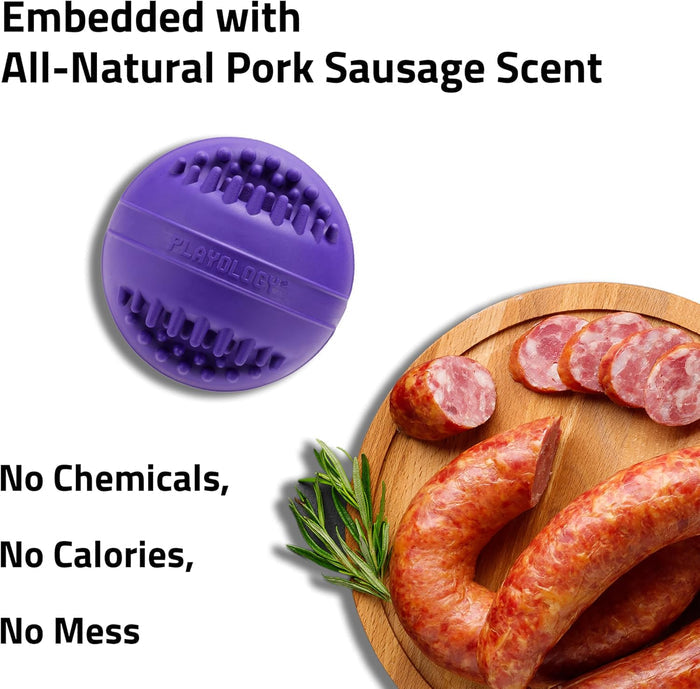 Playology Dental Chew Ball Toy for Senior Dogs Medium Pork Sausage 2-Pack