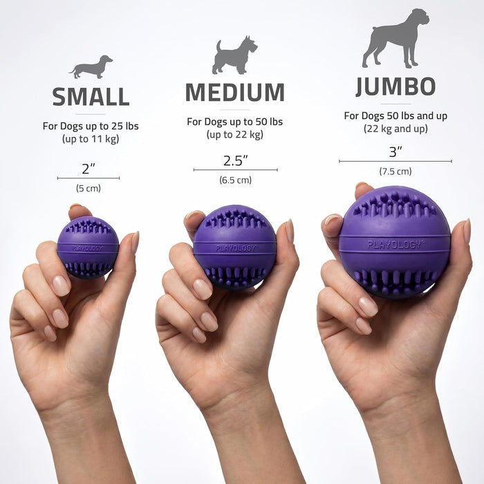 Playology Dental Chew Ball Toy for Senior Dogs Medium Pork Sausage 2-Pack