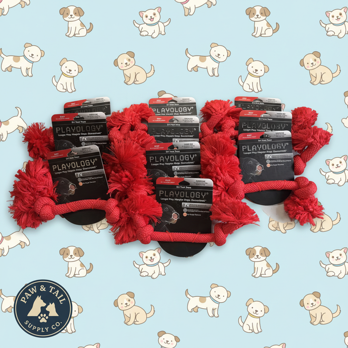 Playology Dri-Tech Rope Dog Toy Beef Scent, Medium Aggressive Chewers 10-Pack – Wholesale Bundle!
