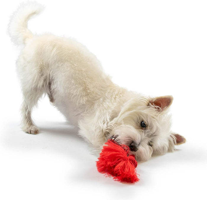 Playology Dri-Tech Rope Dog Toy Beef Scent, Medium Aggressive Chewers 2PCK – Wholesale Bundle!